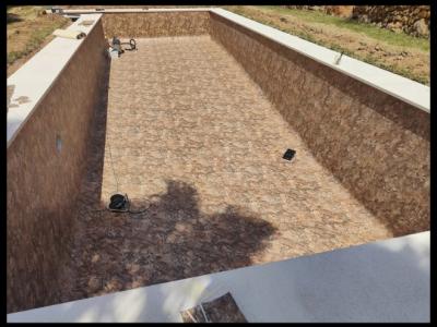 Pool renovation: new tiles, pool liner or coating