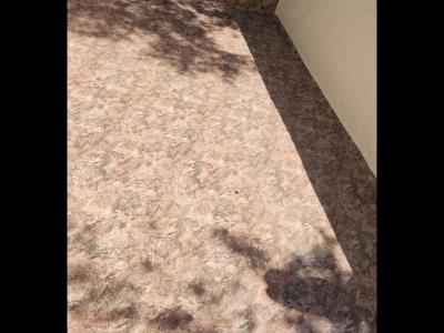 Pool renovation: new tiles, pool liner or coating