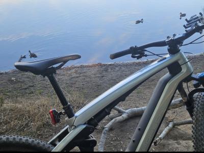 Porsche e bike 2025 neuwertig auf Mallorca zu verkaufen