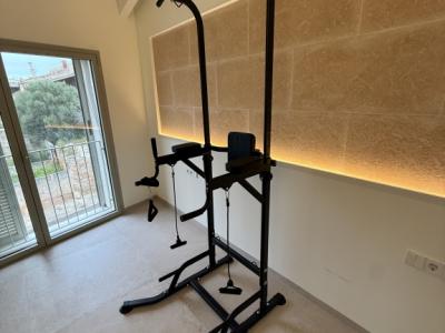 Power Tower Dip Station Sporttower Fitness Homegym