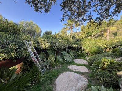 Professional Gardeners in Mallorca – Operating Across the Island