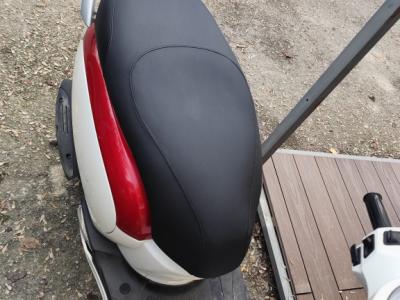 Professionelle Polsterung