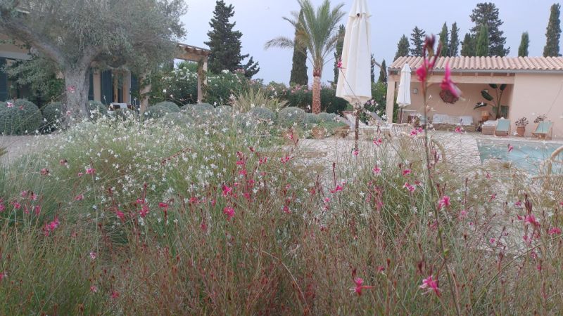 Professioneller Gärtner