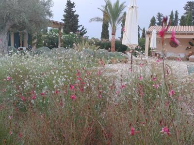 Professioneller Gärtner