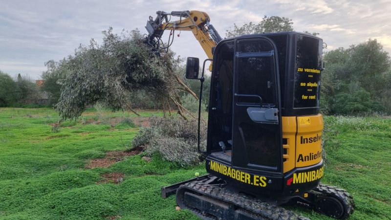 Wheel Loader # Mini Excavator # Trailer # Container - RENTAL