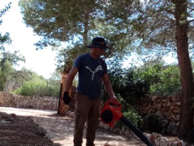 Reinigung des Bauernhofs.