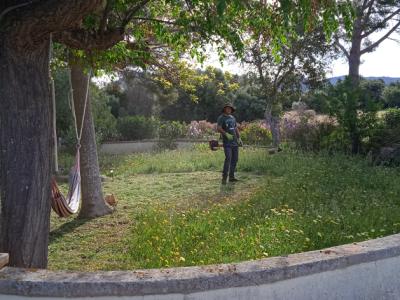 Reinigung des Bauernhofs.