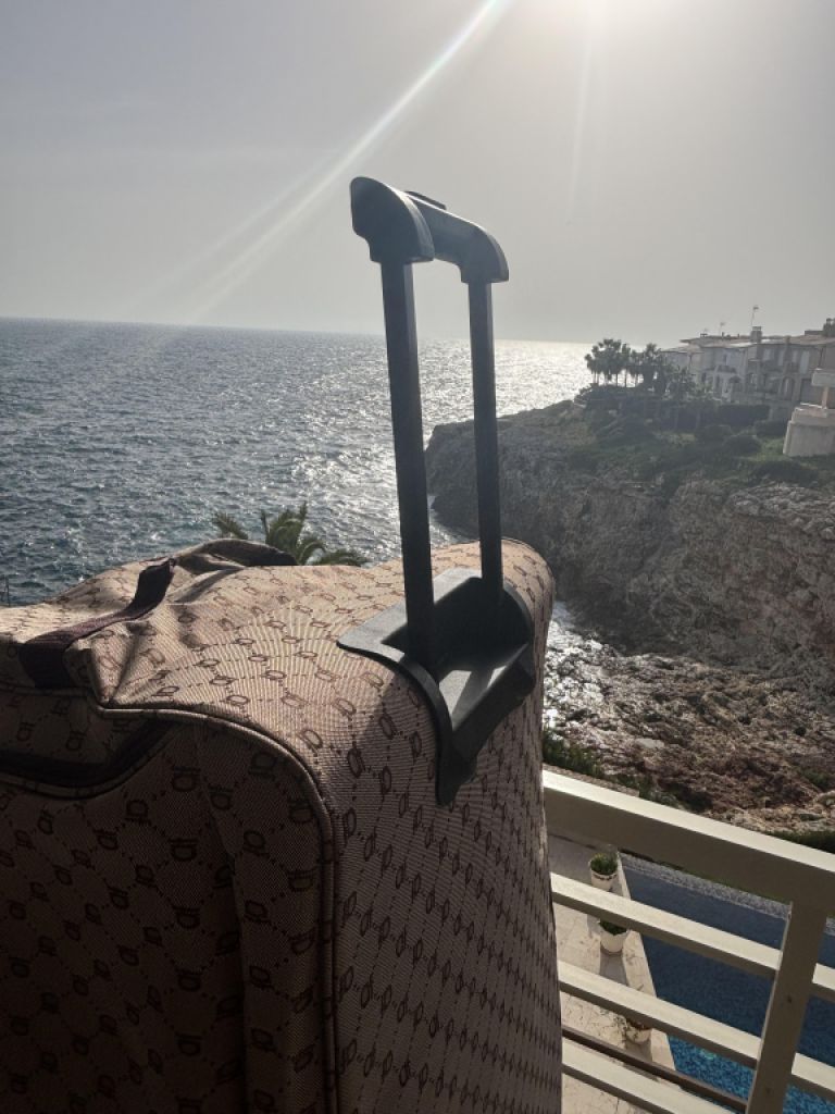 Reisetasche mit Trolley-Funktion, wie NEU