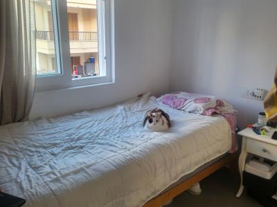 Renovated apartment in Cala Millor