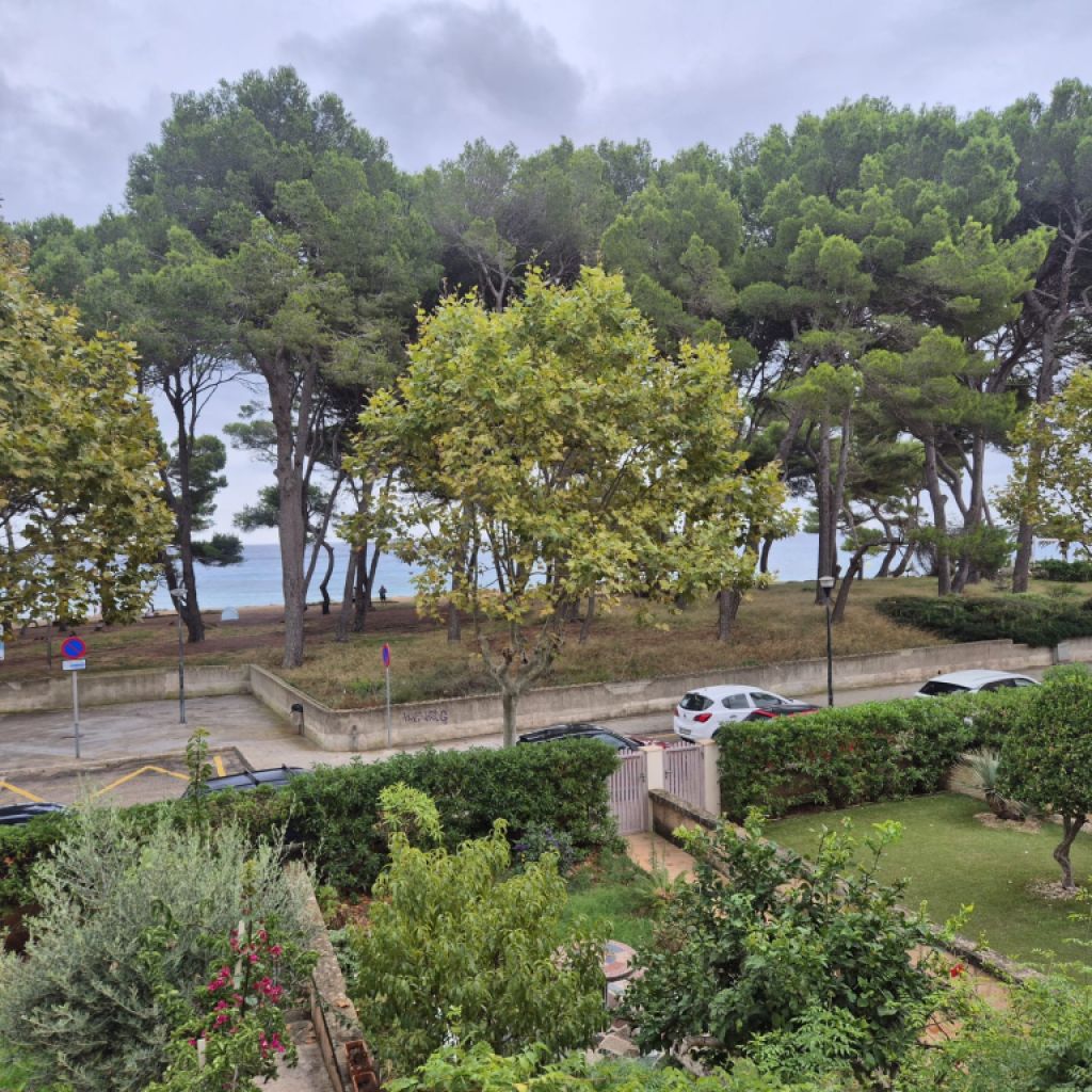 Renovierte Wohnung in Canyamel direkt am Meer – vorübergehende Vermietung