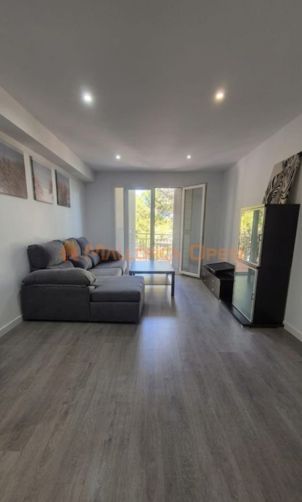 Renovated apartment in Porto Cristo