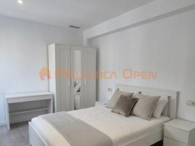 Renovated apartment in Porto Cristo