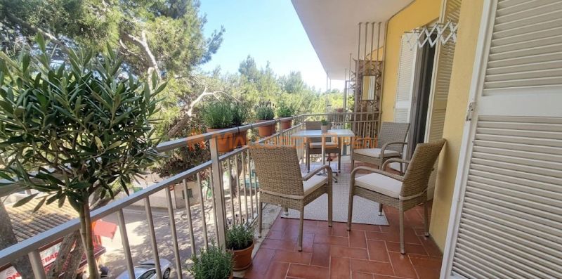 Renovated apartment in Porto Cristo