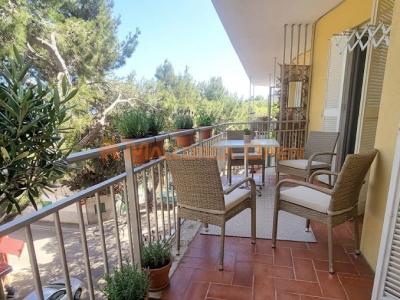 Renovated apartment in Porto Cristo