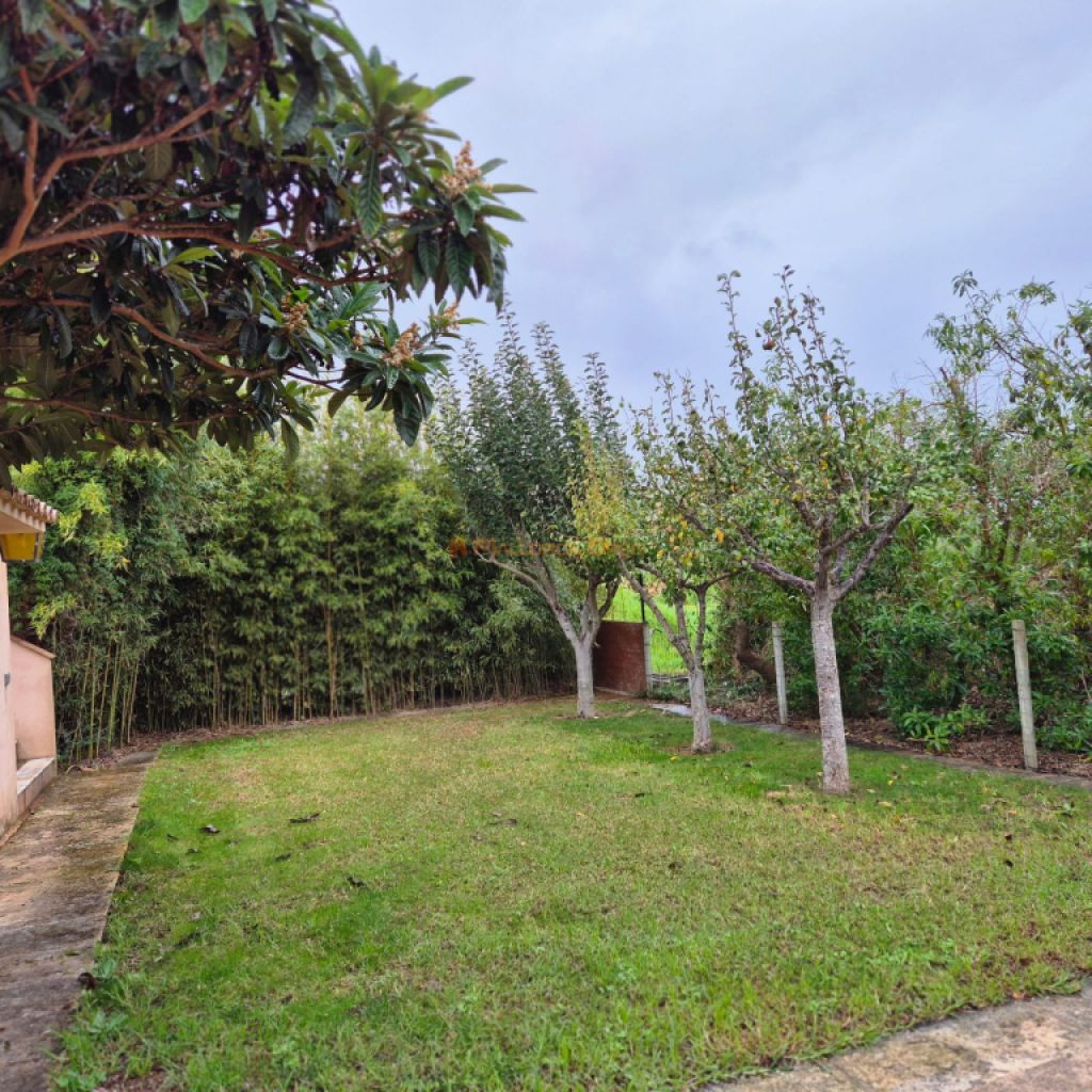 Renovated Country House in Sant Llorenç