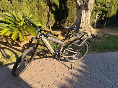 Riese Müller Superdelite HS Rohloff e-bike