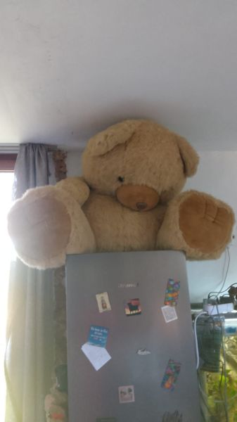 Riesen-Teddy