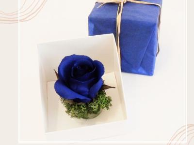 Rosa Krepppapier in Geschenkbox, mehrere Farben