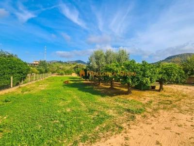 Rustikale Finca in San Lorenzo zu vermieten