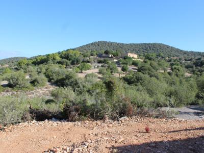 Rustikales Anwesen zu verkaufen in Son Macia