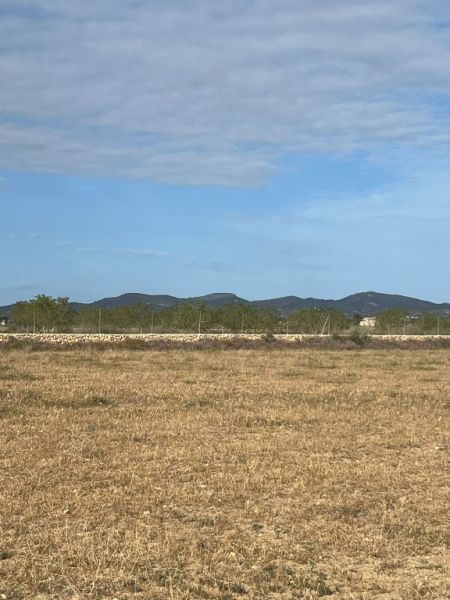 Rustikales Grundstück mit Basisprojekt und Genehmigung in Bearbeitung in Son Valls, Felanitx.