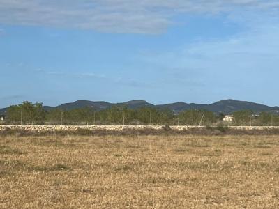Rustikales Grundstück mit Basisprojekt und Genehmigung in Bearbeitung in Son Valls, Felanitx.