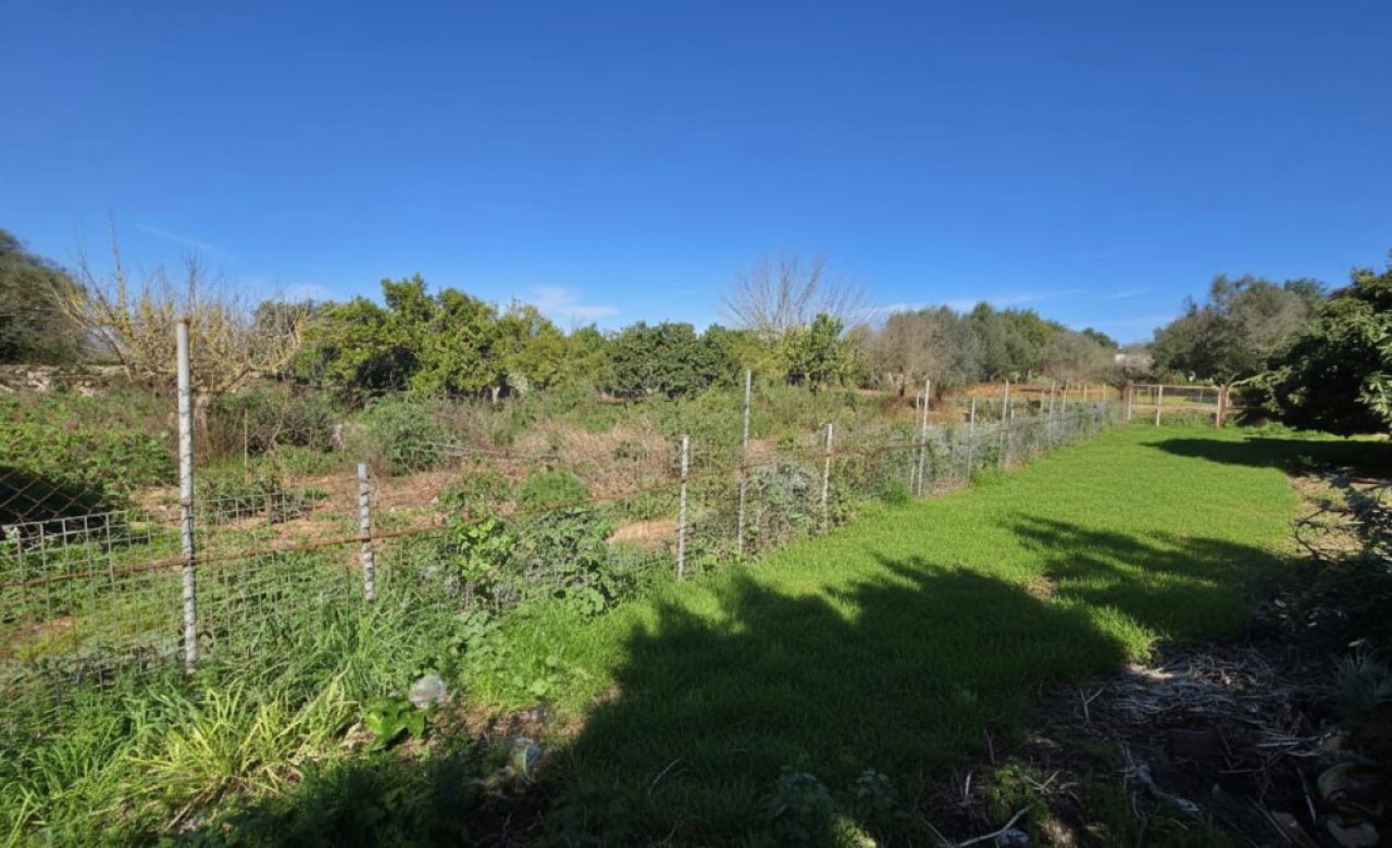 Rustikales Haus zur Miete, 4 km von Manacor