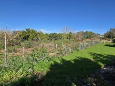 Rustikales Haus zur Miete, 4 km von Manacor