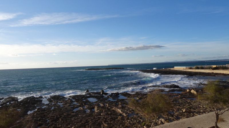 SAISON: Apartment in 1. Linie des Strandes und Küste von Colonia St Jordi-- AP 08 T