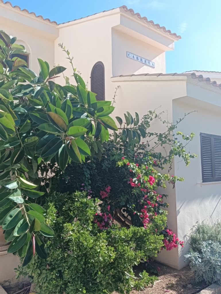 SAISON: Duplex - Wohnung in 1. Linie der Küste von Cala Murada -- AP 08  T