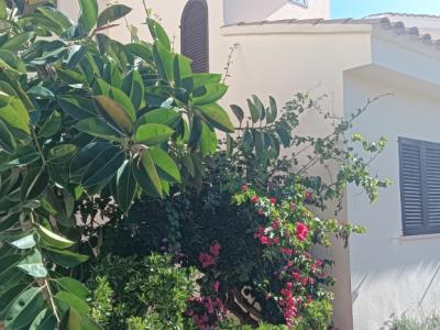 SAISON: Duplex - Wohnung in 1. Linie der Küste von Cala Murada -- AP 08  T