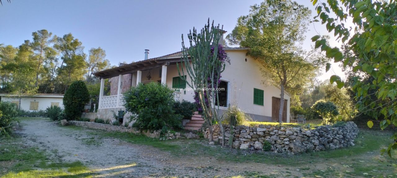 SANT JOAN (CENTRE OF THE ISLAND): Charming finca with pool, private well, guest apartment and 82 m2 shed