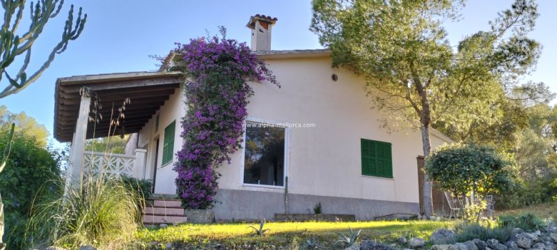 SANT JOAN (CENTRE OF THE ISLAND): Charming finca with pool, private well, guest apartment and 82 m2 shed