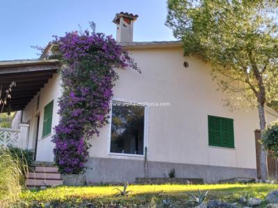 SANT JOAN (CENTRE OF THE ISLAND): Charming finca with pool, private well, guest apartment and 82 m2 shed