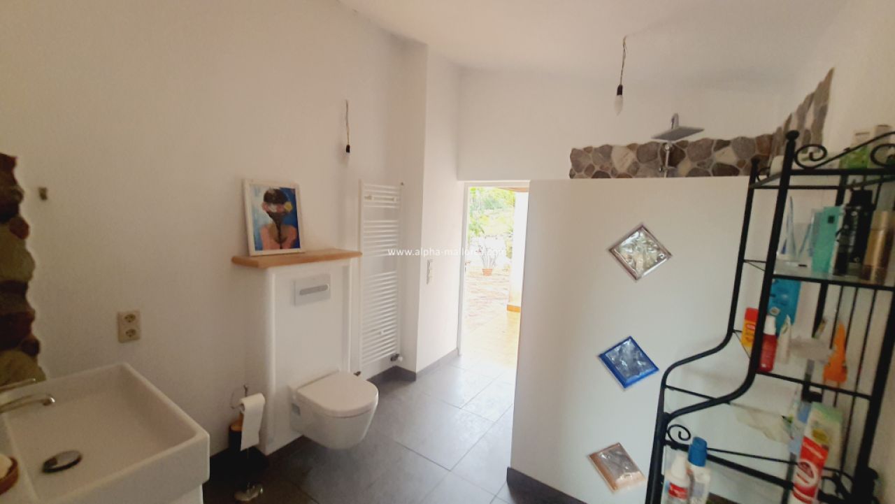 SANT JOAN (CENTRE OF THE ISLAND): Charming finca with pool, private well, guest apartment and 82 m2 shed