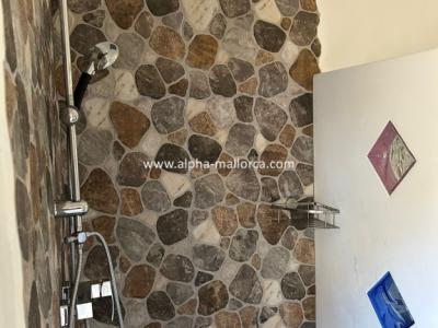 SANT JOAN (CENTRE OF THE ISLAND): Charming finca with pool, private well, guest apartment and 82 m2 shed