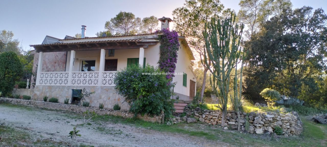 SANT JOAN (CENTRE OF THE ISLAND): Charming finca with pool, private well, guest apartment and 82 m2 shed