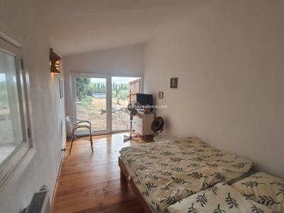 SANT JOAN (CENTRE OF THE ISLAND): Charming finca with pool, private well, guest apartment and 82 m2 shed