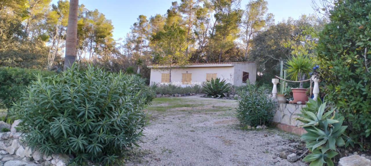 SANT JOAN (CENTRE OF THE ISLAND): Charming finca with pool, private well, guest apartment and 82 m2 shed