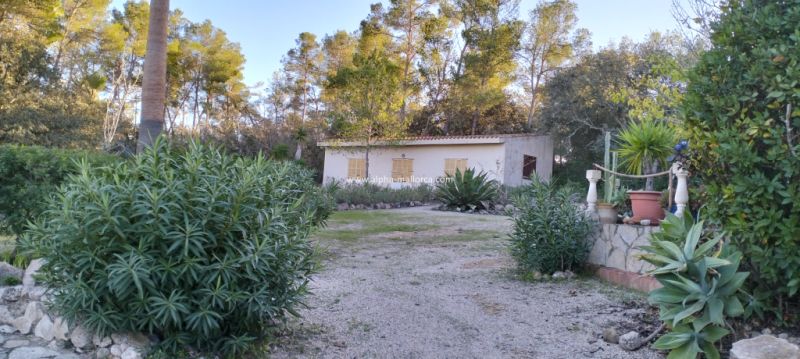 SANT JOAN (CENTRE OF THE ISLAND): Charming finca with pool, private well, guest apartment and 82 m2 shed