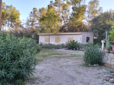 SANT JOAN (CENTRE OF THE ISLAND): Charming finca with pool, private well, guest apartment and 82 m2 shed