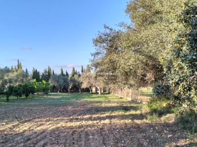 SANT JOAN (CENTRE OF THE ISLAND): Charming finca with pool, private well, guest apartment and 82 m2 shed