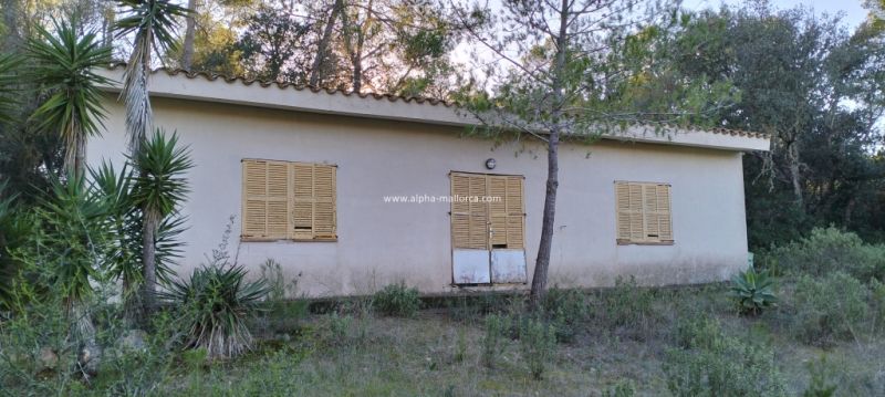 SANT JOAN (CENTRE OF THE ISLAND): Charming finca with pool, private well, guest apartment and 82 m2 shed