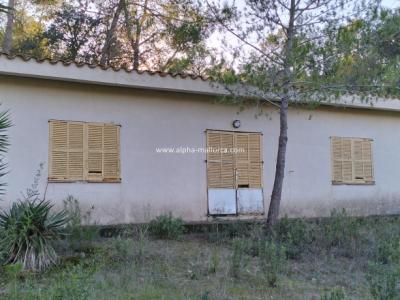 SANT JOAN (CENTRE OF THE ISLAND): Charming finca with pool, private well, guest apartment and 82 m2 shed