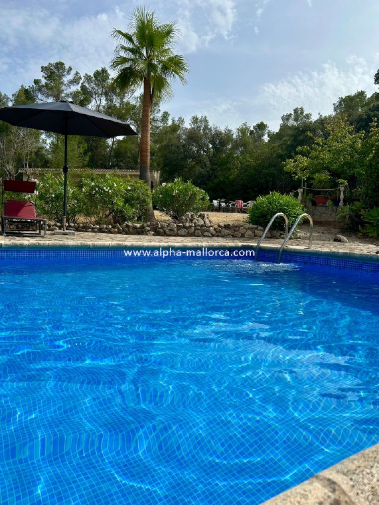 SANT JOAN (CENTRE OF THE ISLAND): Charming finca with pool, private well, guest apartment and 82 m2 shed