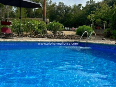 SANT JOAN (CENTRE OF THE ISLAND): Charming finca with pool, private well, guest apartment and 82 m2 shed