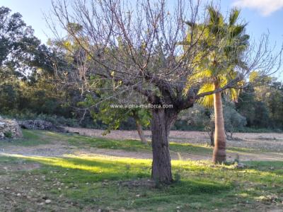 SANT JOAN (CENTRE OF THE ISLAND): Charming finca with pool, private well, guest apartment and 82 m2 shed