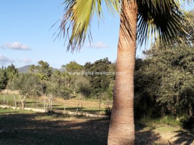 SANT JOAN (CENTRE OF THE ISLAND): Charming finca with pool, private well, guest apartment and 82 m2 shed