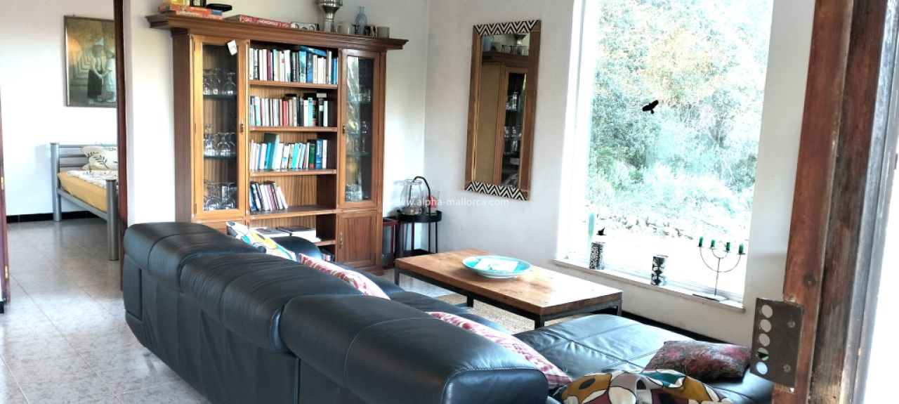 SANT JOAN (CENTRE OF THE ISLAND): Charming finca with pool, private well, guest apartment and 82 m2 shed