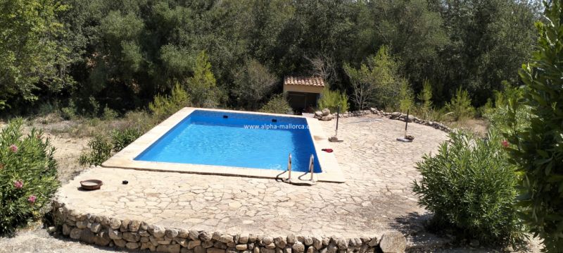 SANT JOAN (CENTRE OF THE ISLAND): Charming finca with pool, private well, guest apartment and 82 m2 shed